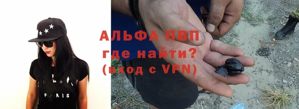 прущие крисы Белокуриха