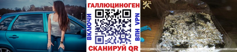 Галлюциногенные грибы Cubensis  Купить  Льгов 